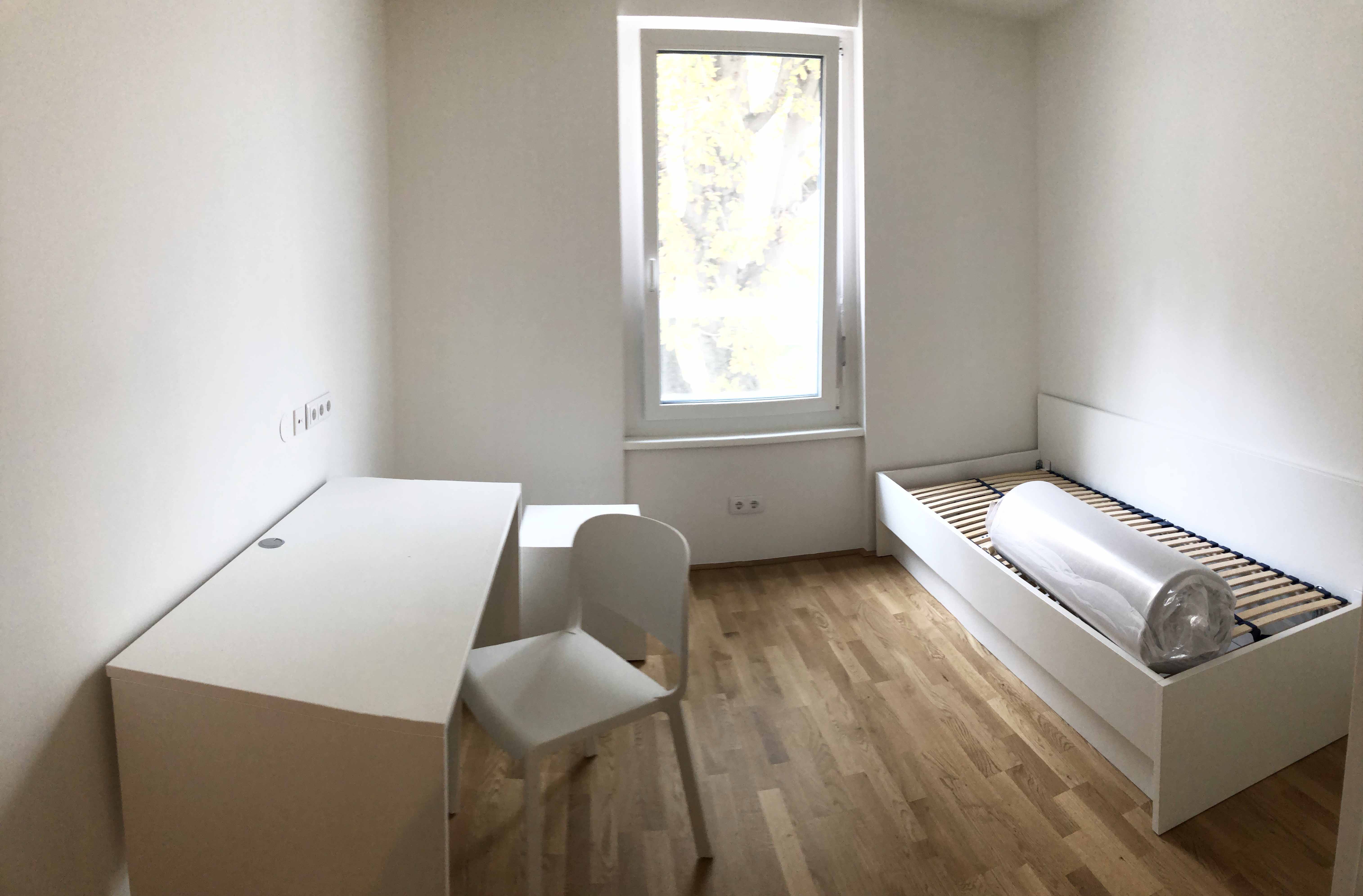 Martinushaus — official interior photo